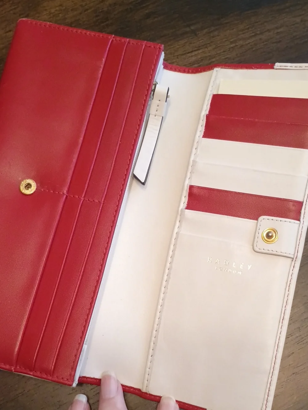 Radley London winter Christmas snow skating dog wallet